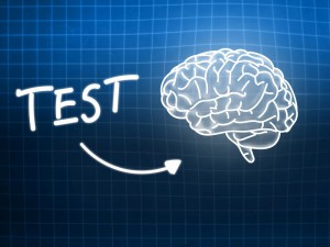 Der IQ Test ist immer nur eine methodisch angeleitete Schätzung der tatsächlichen Intelligenz. Im Institut für Leistungsentwicklung wird diese Schätzung durch systematische weitere Beobachtungen ergänzt.